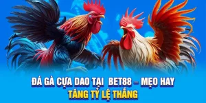 Đá Gà Cựa Dao