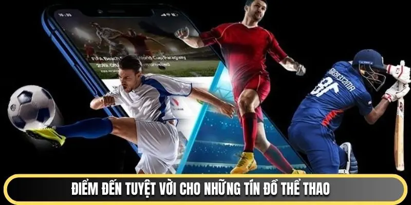 Điểm đến tuyệt vời cho những tín đồ thể thao