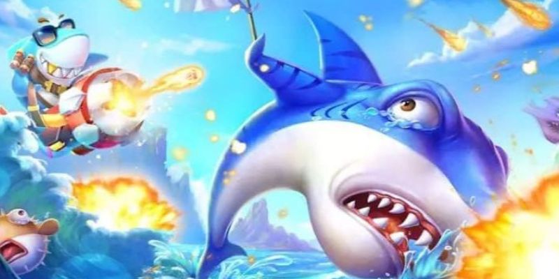 Một vài thông tin sơ lược điểm qua bộ môn thu hút người tham gia.