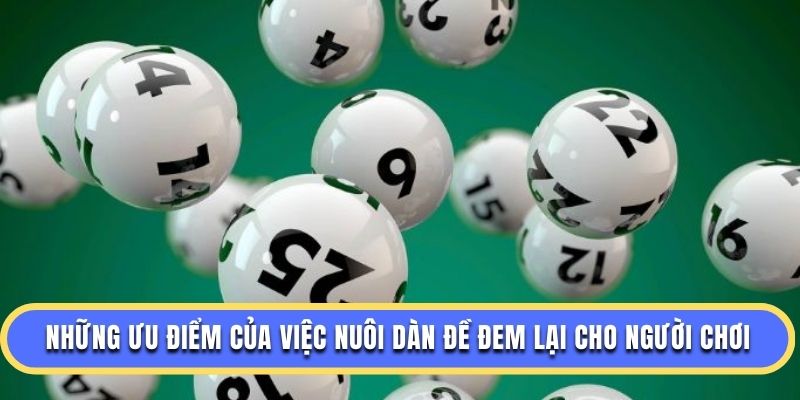 Những ưu điểm của việc nuôi dàn đề đem lại cho người chơi