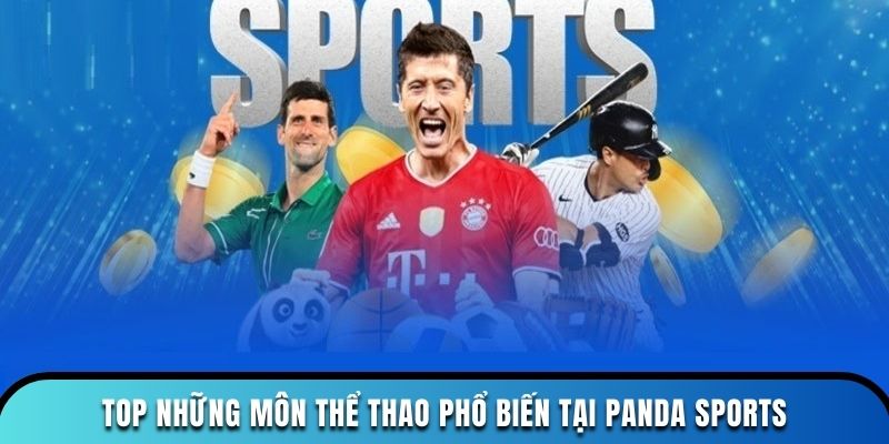 Top 5 môn thể thao phổ biến tại sảnh game thể thao Panda Sports